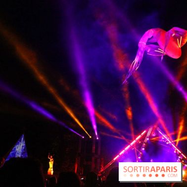 Pyroconcert Encore Floyd  au Domaine de Saint-Cloud