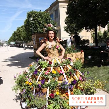Jardins, jardin 2015 aux Tuileries