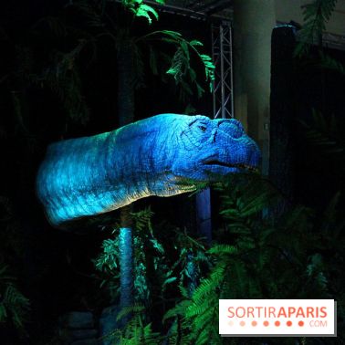 Autour des dinosaures au Palais de la Découverte