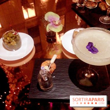 Bulle de l'Hôtel du Collectionneur 2015-2016