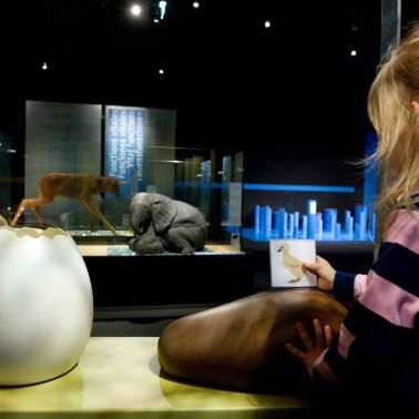 Exposition BéBés animaux à la Cité des Sciences