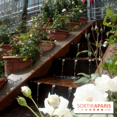 Jardin d'Orient à l'Institut du Monde Arabe