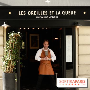 Les Oreilles et la Queue