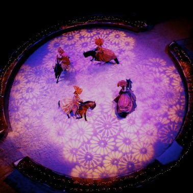 Peau d'âne au domaine de Chantilly