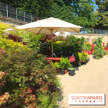 Jardins Jardin 2017 aux Tuileries, les photos