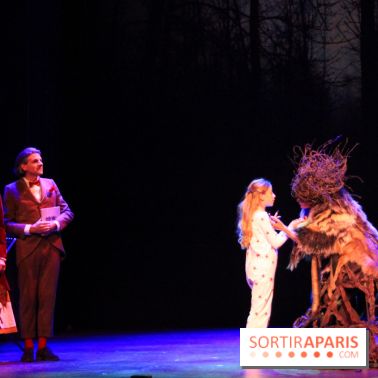 Emilie Jolie, la comédie musicale 2017/2018