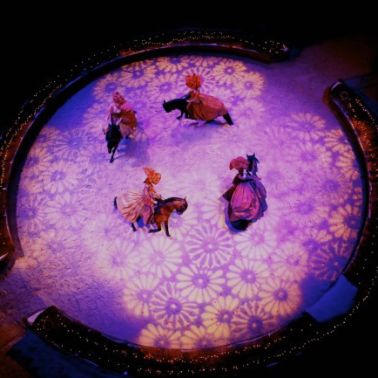 Le Prince et Le Cygne, spectacle de Noël des Écuries de Chantilly 