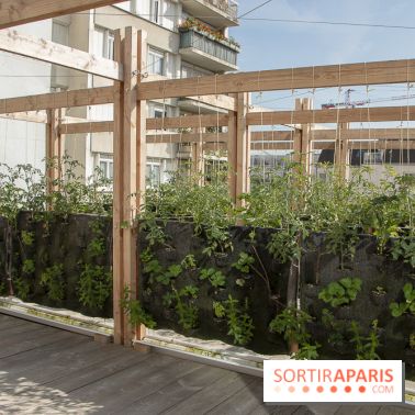 Sous les Fraises & So Ouest inaugurent la première ferme maraichère urbaine à Levallois-Perret : les photos