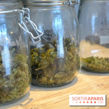 Le Lab du bonheur à Paris, un Coffee Shop CBD bien-être 