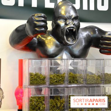 Kong, le comptoir de vente de Cannabis CBD de la Maison du Sans Gluten