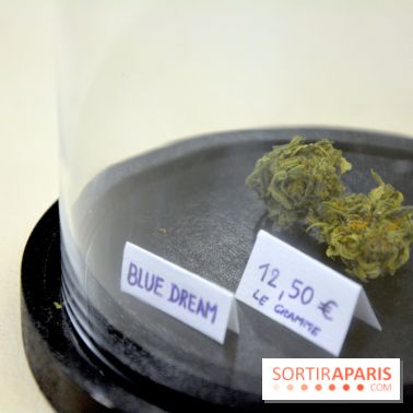 BlueDreamLab le spécialiste de la vente de cannabis CBD
