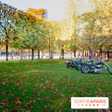 FIAC 2018 au Jardin des Tuileries : Olivier Mosset, Untitled (3 bikes), 2018
