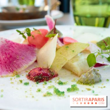 La City : : ceviche de daurade aux betteraves dans tous ses états