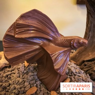 Chocolat de Pâques 2019 au Prince de Galles