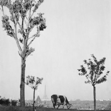 André Kertész, l'exposition au musée des Avelines (Saint-Cloud)