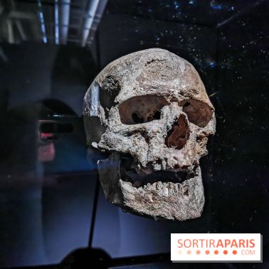 Exposition Préhistoire, un invention moderne au Centre Pompidou, les photos