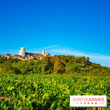 Le Château de Vault-de-Lugny - excursions dans la région