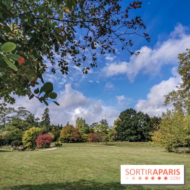 Le parcours des Arbres Admirables dans le domaine du château de Versailles
