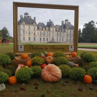 Le Jardin de l'Automne du Château de Cheverny