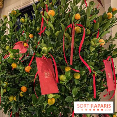 Menu du Nouvel an Chinois au Peninsula 2020