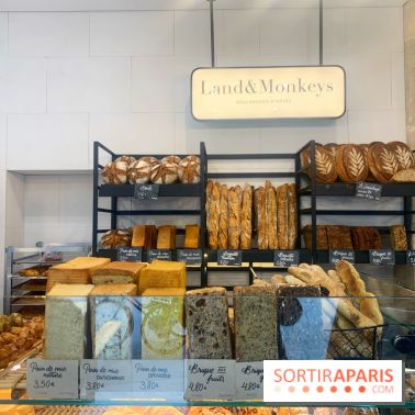 Land&Monkeys