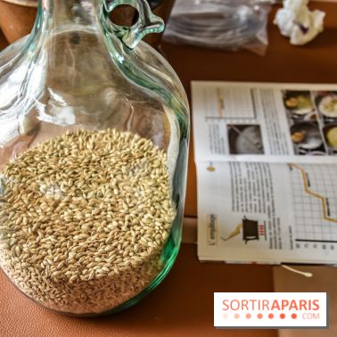 J'ai décidé d'apprendre à faire de la bière, les photos