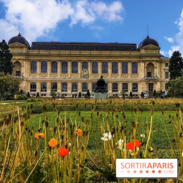 Visuel Paris Jardin des Plantes - Muséum MNHN