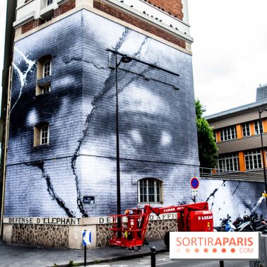 Hommage à Adama Traoré : l'artiste JR dévoile un collage géant à Paris, les photos