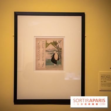 Fuji, pays de neige, l'exposition au musée Guimet - nos photos