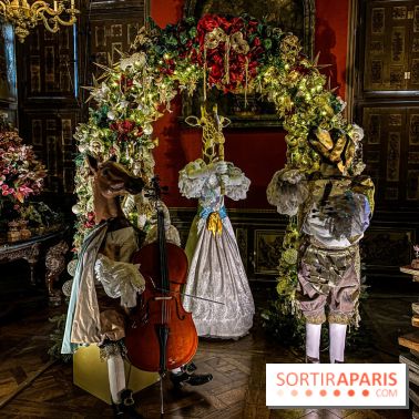 Photos : Vaux-le-vicomte en Lumières