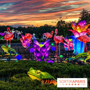 Photos : Thoiry Lumières Sauvages 2020-2021