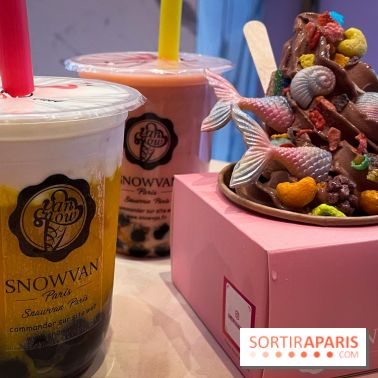 Snowvan, le spot aux bubble tea et glaces insolites