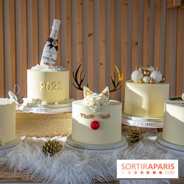 Bûche 2021 Candy Paradis