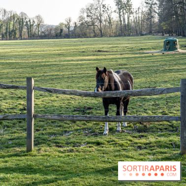 Le domaine du Chateau de Dampierre 