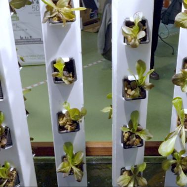 Salon Vivre Autonome 2022