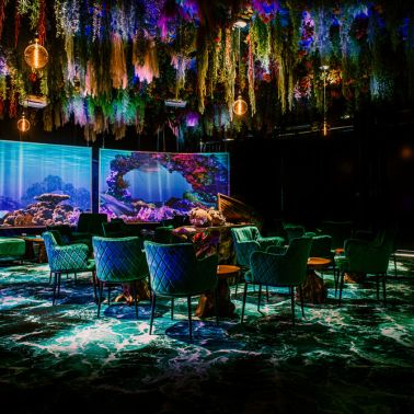 Bar Under The Sea