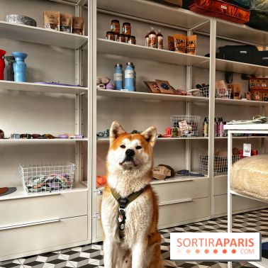 Barkers+Brothers, le concept store canin pour chouchouter son chien à Montmartre