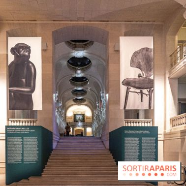 Photos exposition Histoires Naturelles, Dation François-Xavier et Claude Lalanne