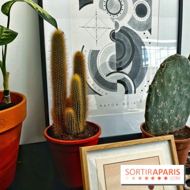 Rayon Noir, le salon de tatouage et de design moderne et accueillant du 12e arrondissement