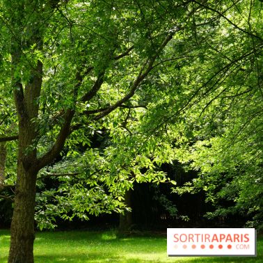 Arboretum de la Vallée-aux-Loups, une balade au milieu des arbres remarquables