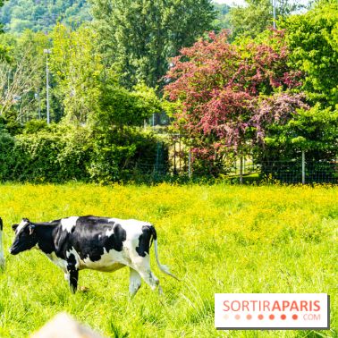 La promenade des petits ponts dans la vallée de Chevreuse