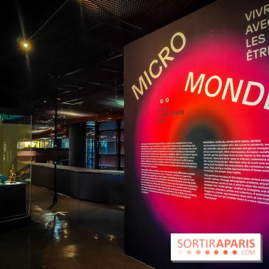 Micro mondes, une exposition à découvrir à la loupe au musée du Quai Branly, nos photos