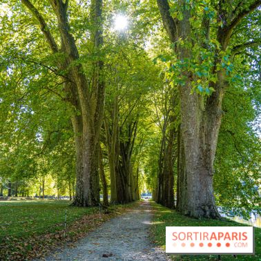 Parc et Domaine du Château de Courances