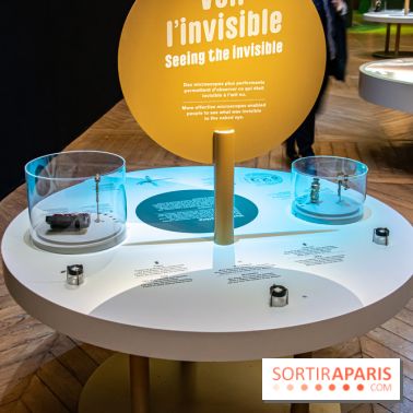 Mini-monstres, nos photos de l'exposition à la galerie de Géologie du Muséum d'Histoire naturelle