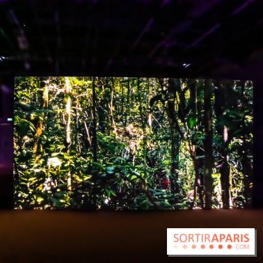 Exposition au Palais de Tokyo : Shéhérazade, la nuit - nos photos