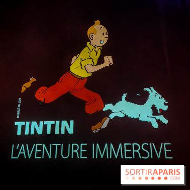 Tintin, l'aventure immersive à l'Atelier des Lumières : l'exposition insolite à vivre - nos photos
