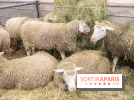 Salon de l'agriculture 2023