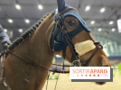 cheval - Saut Hermès