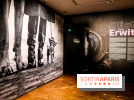 Elliott Erwitt, l'expo au Musée Maillol, nos photos