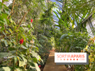 Le Jardin des Serres d'Auteuil